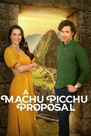 A Machu Picchu Proposal (2025) Hindi (MULTI AUDIO) – – 1080p