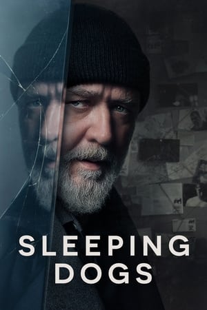 Sleeping Dogs (2024) Hindi Dual Audio – 720p –